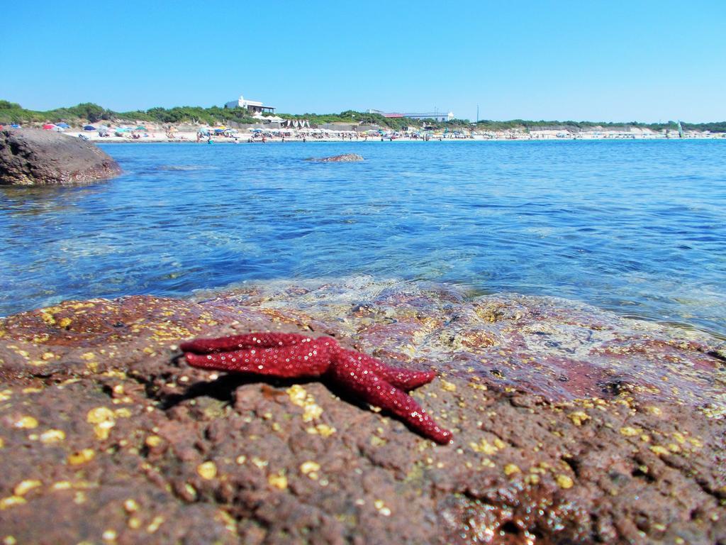 Pineta Spiaggia Grande Calasetta Luaran gambar