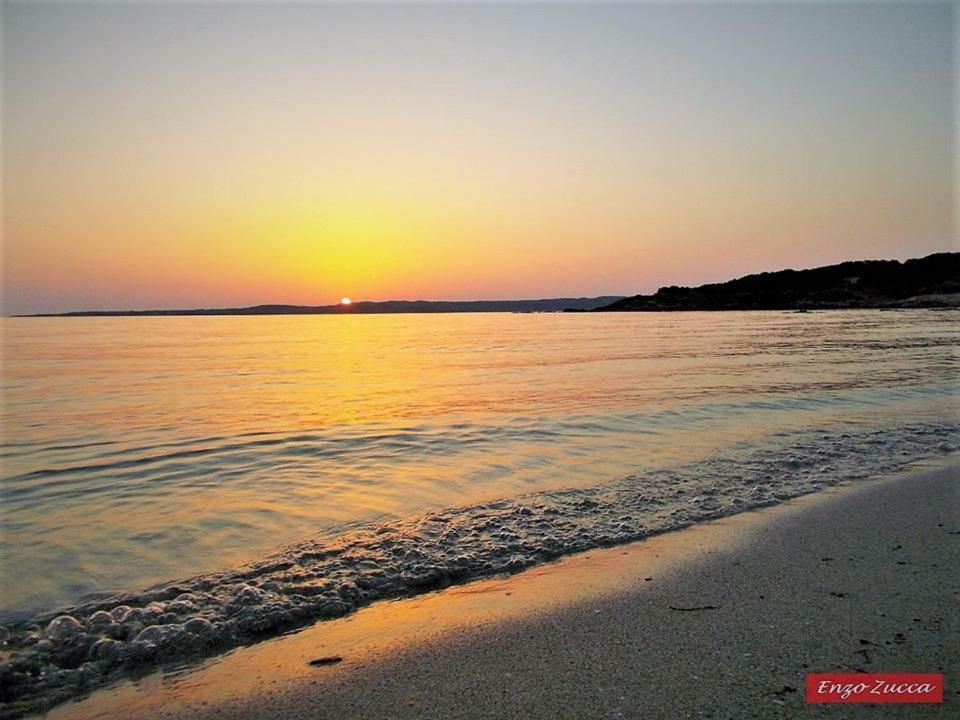 Pineta Spiaggia Grande Calasetta Luaran gambar
